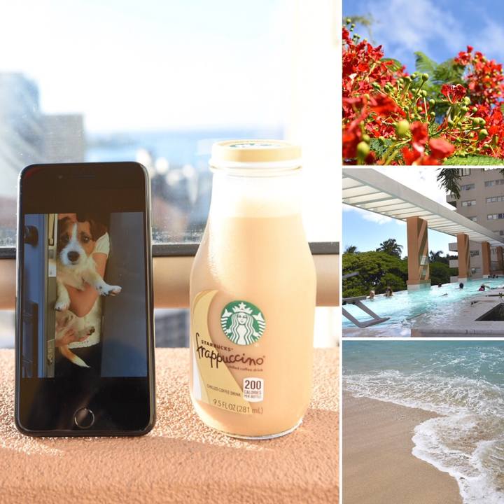 35622709 966f 473e a9f8 b81c5653e050