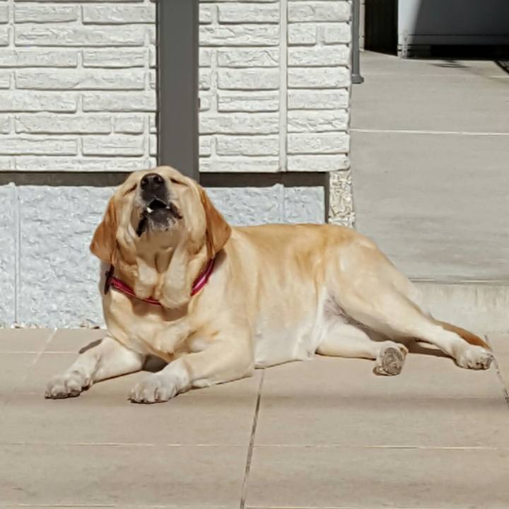 35625f37 ad2a 4561 b266 2eab17fd5909