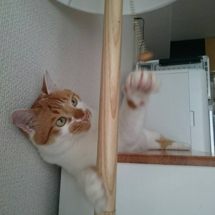 3562a399 a9bd 4c01 ac8e 82eda67c9340