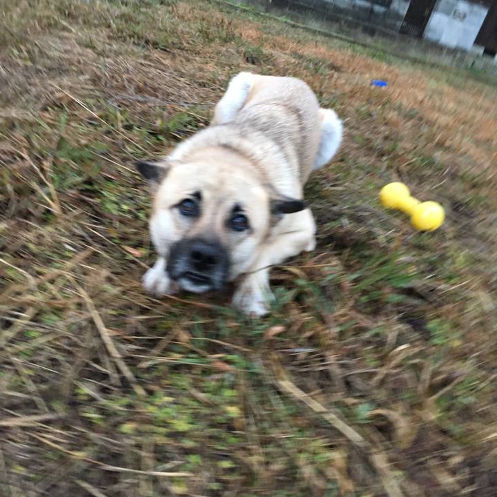 3564fc8e 9e9f 48cb 9ec4 cdf3949f110c