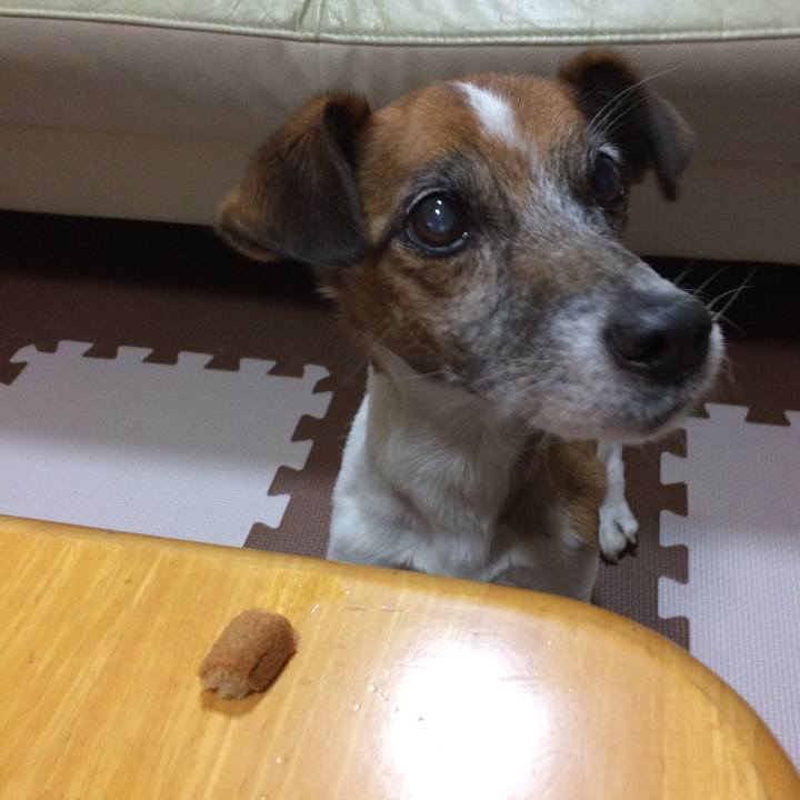 35652fd9 1131 4aa5 a728 39c4b3d8f4bd