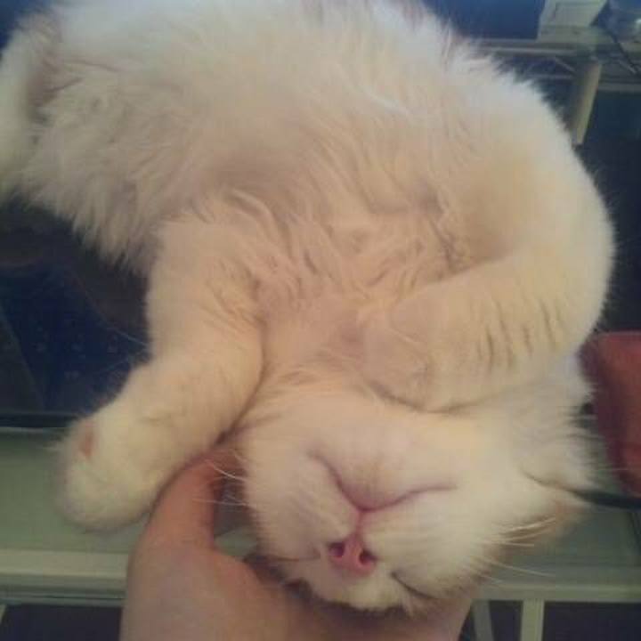 356533f5 b918 40c6 bee8 28e2efe184c8