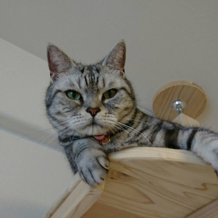 3565a042 12c5 4011 8c18 1d9ea85eb97b