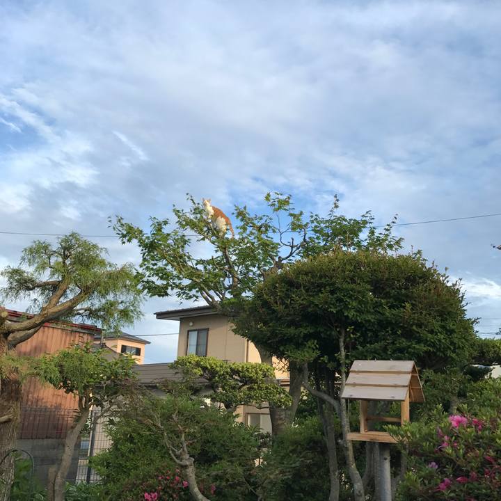 3565d71a f4ae 44f8 b1d0 56caf5af98d0