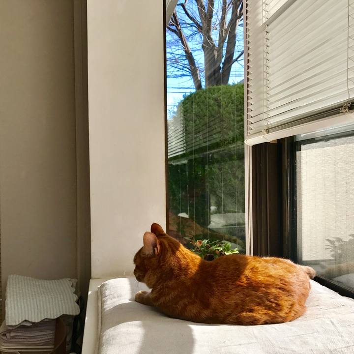 3565f4c4 537b 4b44 9923 d1a62605b048