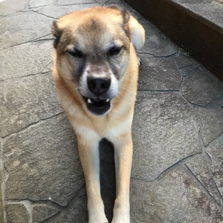 3565feee 70d4 4eda a36f e28df02b1c52