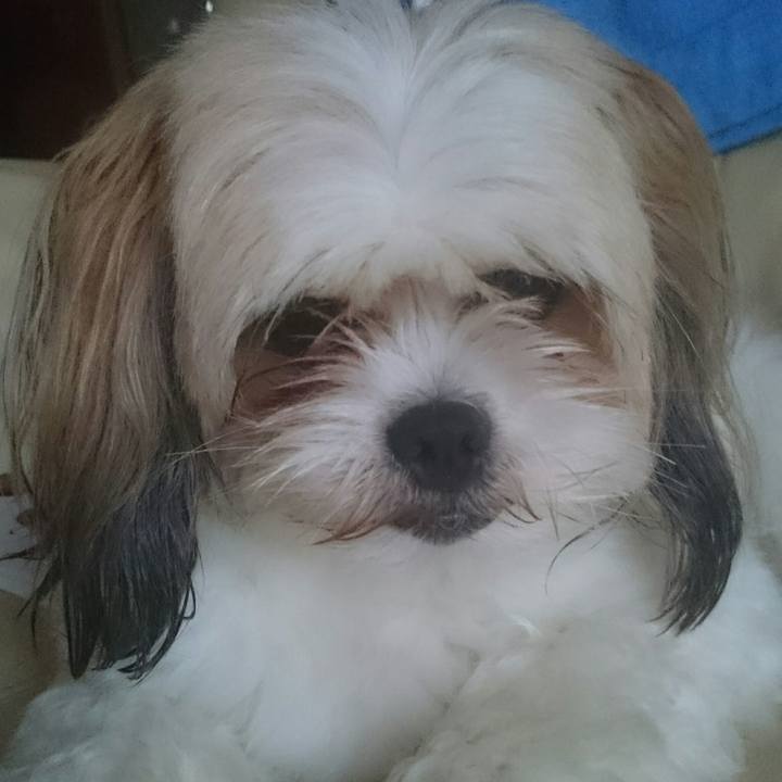 3566159f 0706 4577 8a41 c1366970b98e