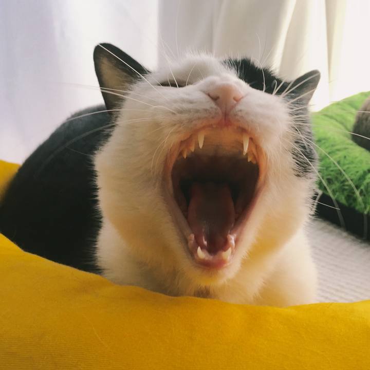 3567056d 2147 483a a50a 7ce86854c548