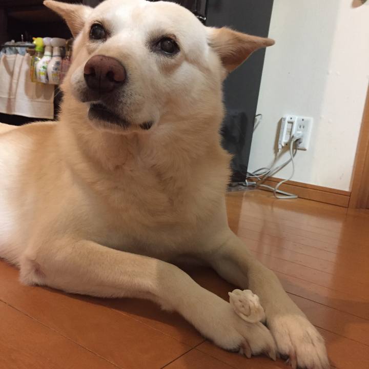 35676475 06fe 4dba 87eb 4bd0435c0428