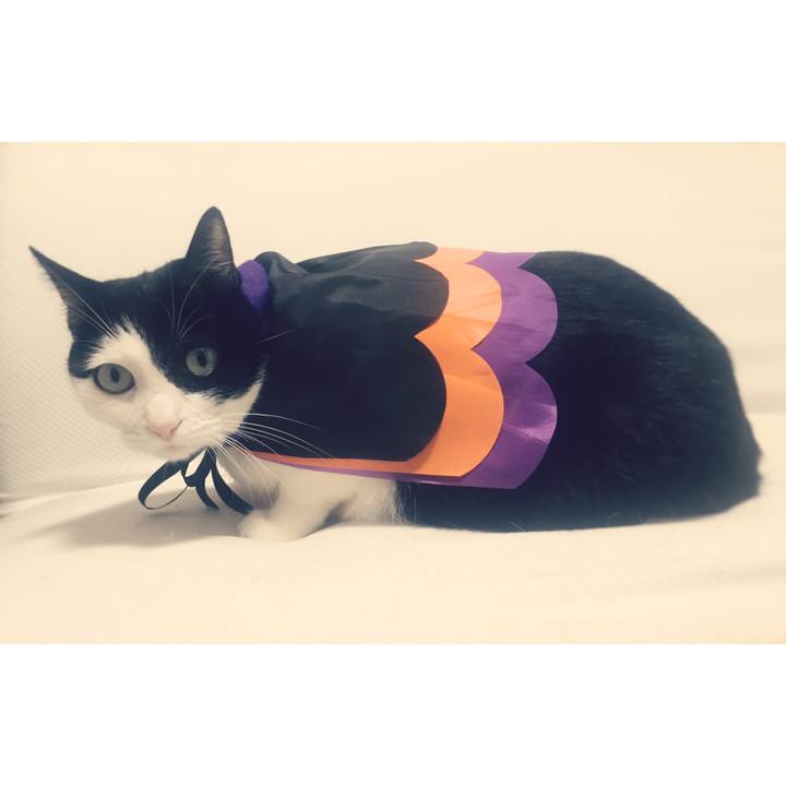 35678c32 d2b1 40b4 a92b 6292fd29b257