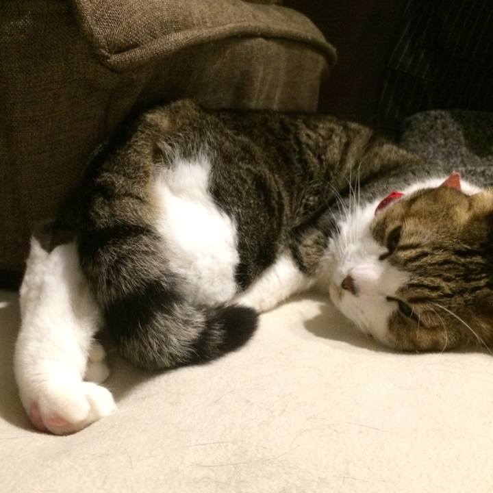 3568dd13 f217 4fbd 91f2 5cab6c751039