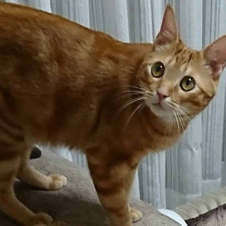 3568e251 d162 407e b9f1 205c2f121cd7