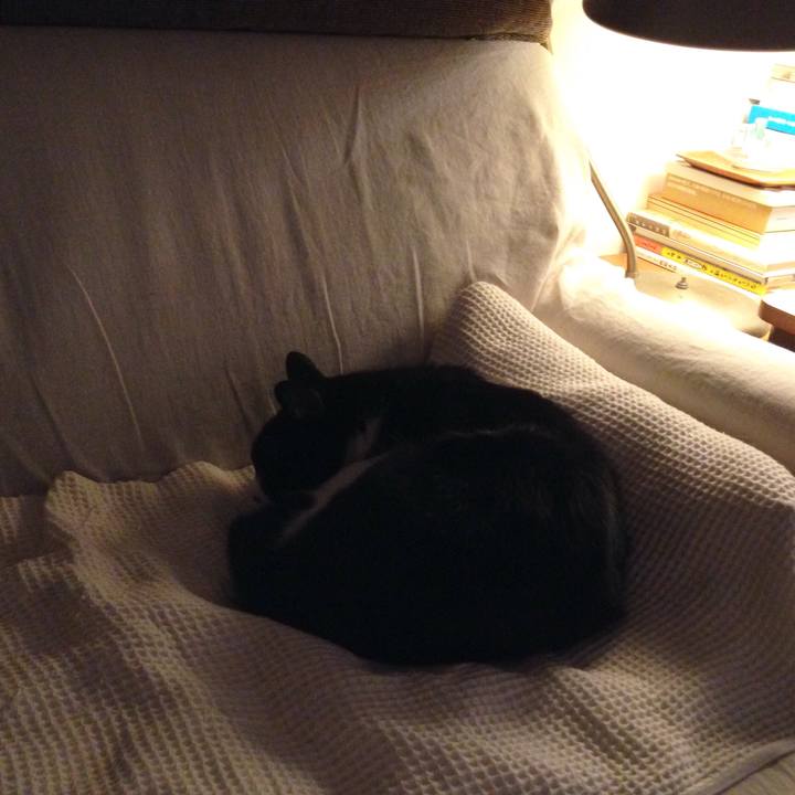 35697576 0332 461c 94c5 16822a26e1ae