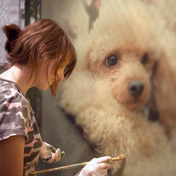 35699c0f 7487 4add b233 5e37300ae8e5