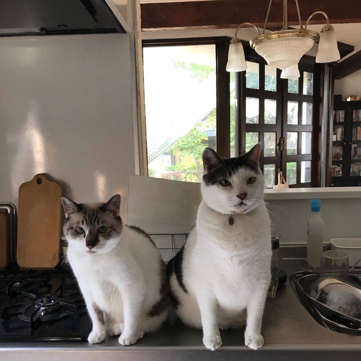 356a5bd7 5d0e 4c31 81d3 5589d464f518