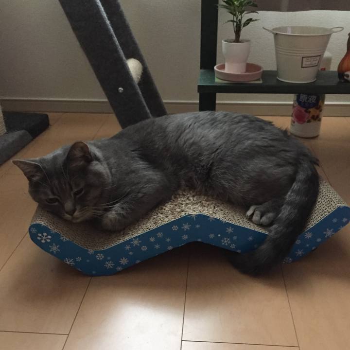 356a650b 746b 4212 b5ae f7513e7c9b37