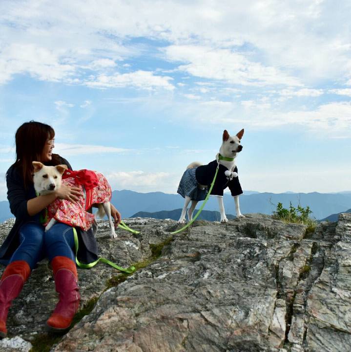 356c0ccf c539 41a1 86a4 20430bc35800