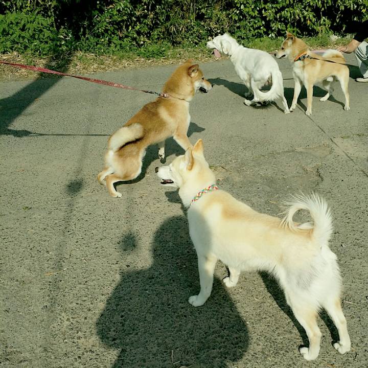 356c71f5 529a 4109 a2f1 4791044f6fb1