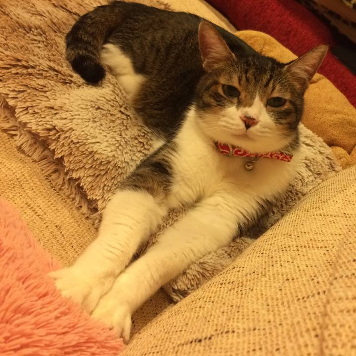 356d9ba0 0252 4bc8 bb8a e07e33df422b