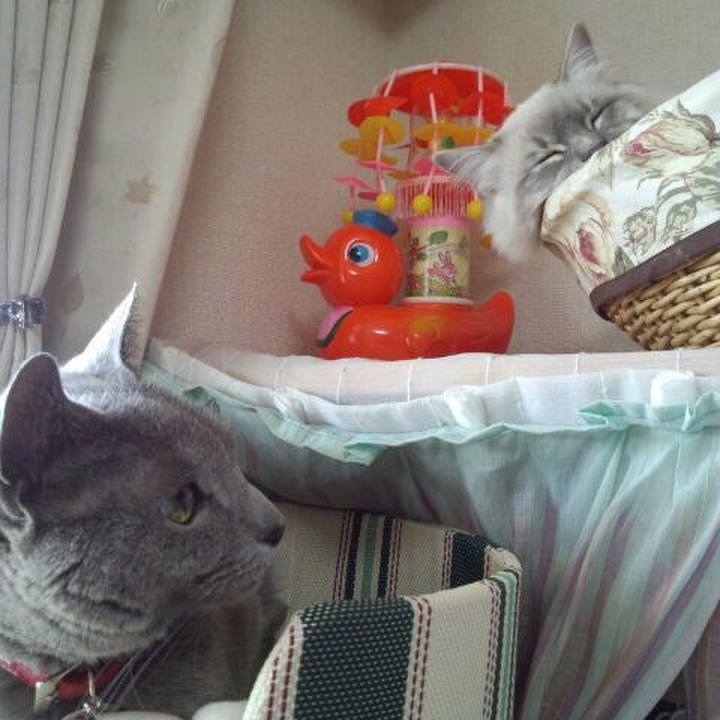 356da8d4 e63c 4e2c 98eb 144f5522d744