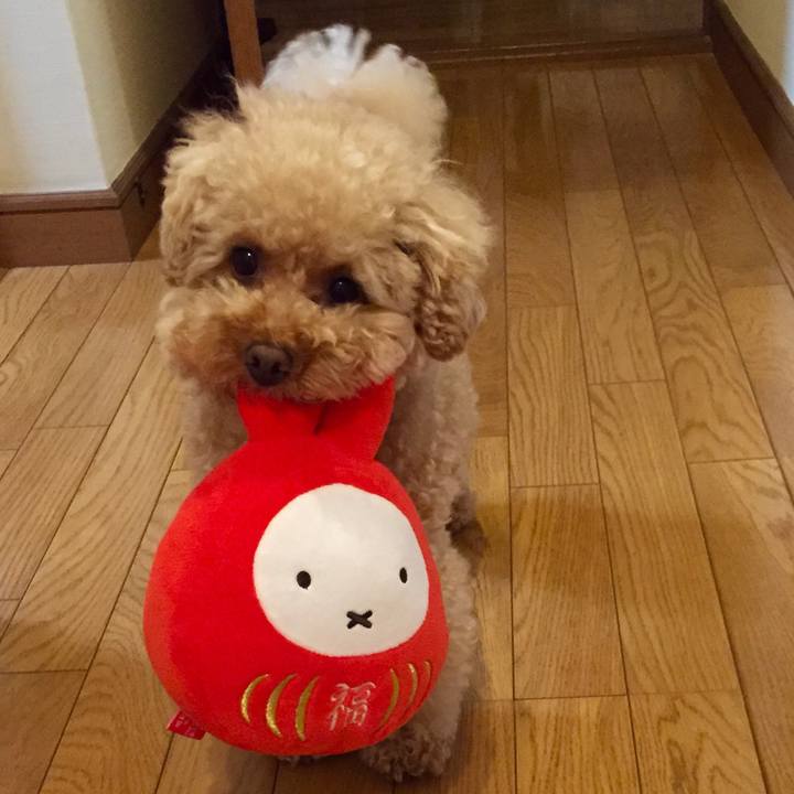 356e65dc 1627 48d1 a6bc 134840c2947a