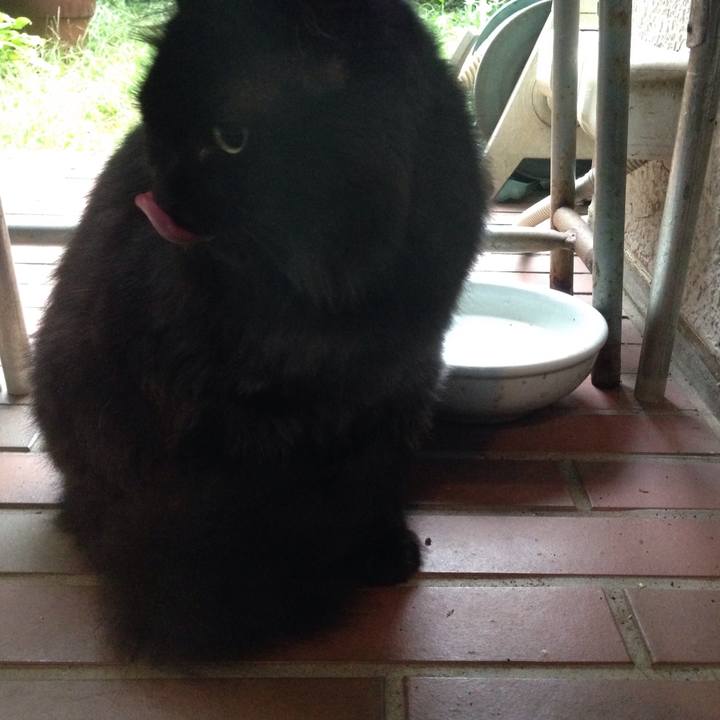 356e73b1 c67a 4542 b2d8 b9bd134366b7