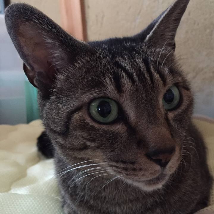 356e9417 eb94 4fc0 9180 2989327f38dd