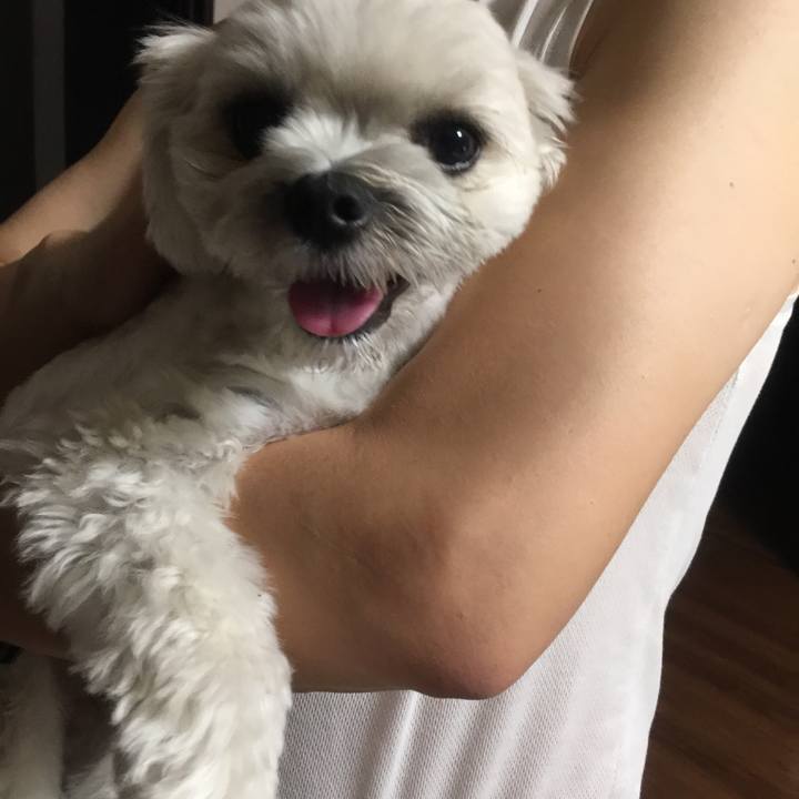 356edba1 e775 4067 b8eb a8fd3038538c