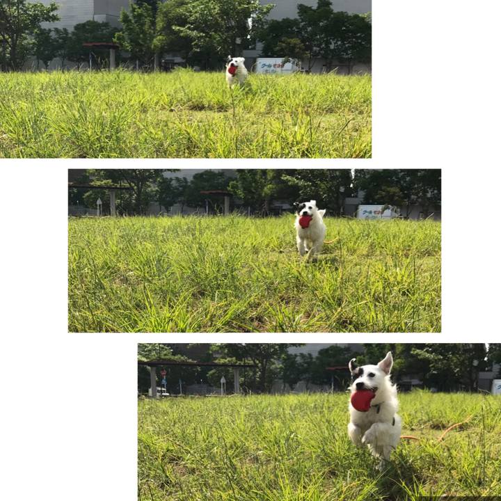 356f0b5d c877 475c 8792 24aac3bd769e