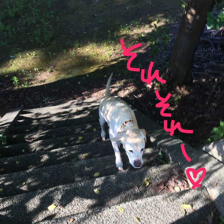 356fbe67 bb8e 43a4 8efe 47f8056462eb