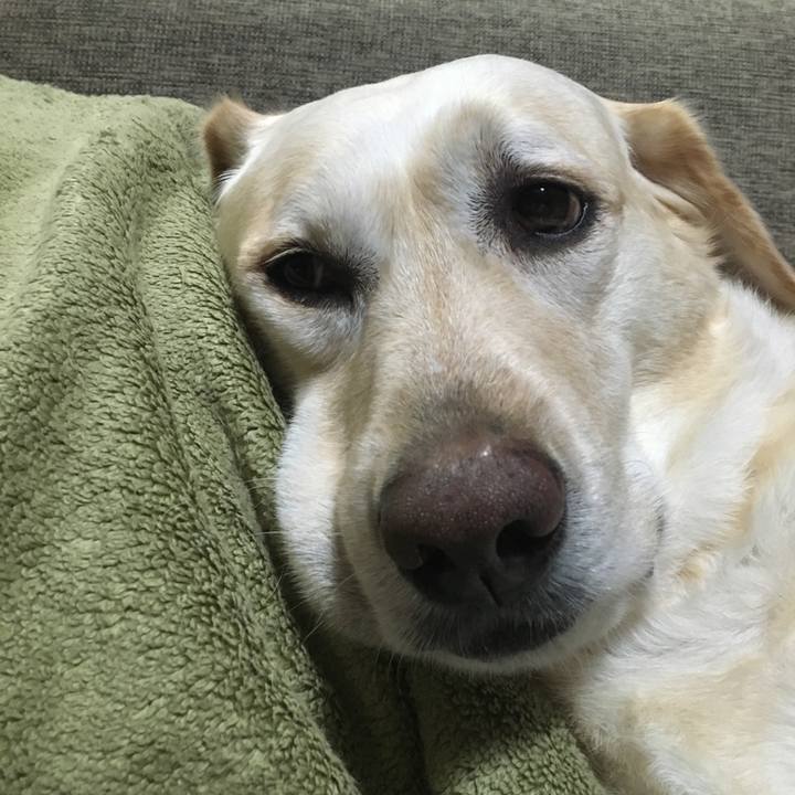 3570e061 d87f 422d b41d cee43ea1a110