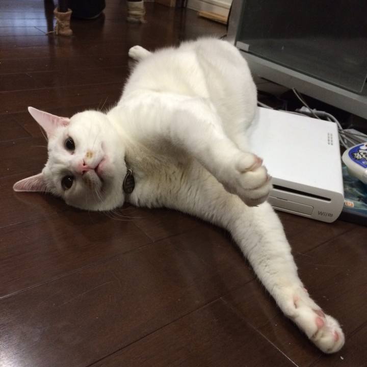 35710066 ba76 499b 8b9c 41454ef144c0