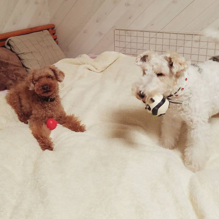 357119de 87f1 48ee 9fad e4cf324f5b72