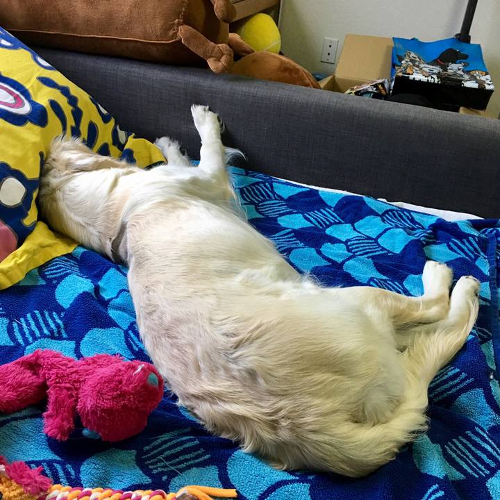 3571234e c77a 414b a0cc 5ac3929d9555