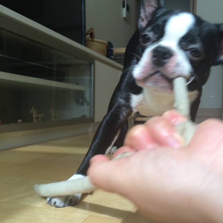 35713bc9 0547 4b88 aefa 1fbf85bc9b0a