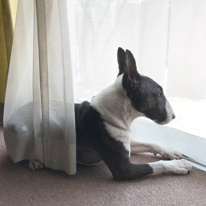 35718f92 d4fb 4bc6 92d0 9d00417a3722