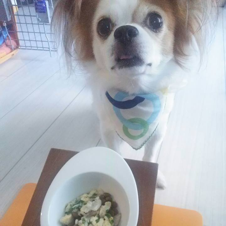 3571eebb 2483 4c7c 8bce 77fd832ee52b