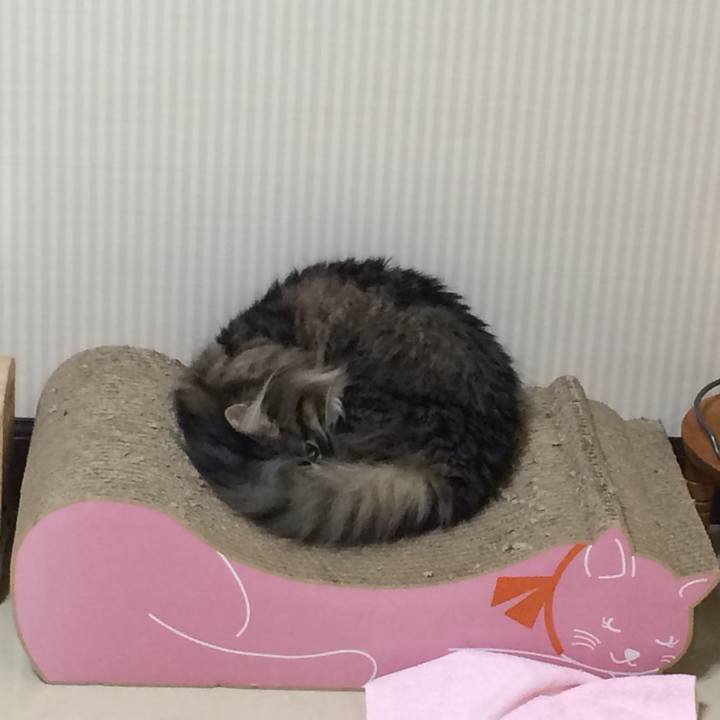 35721a2c 89ae 4089 bd55 45be0b16702b