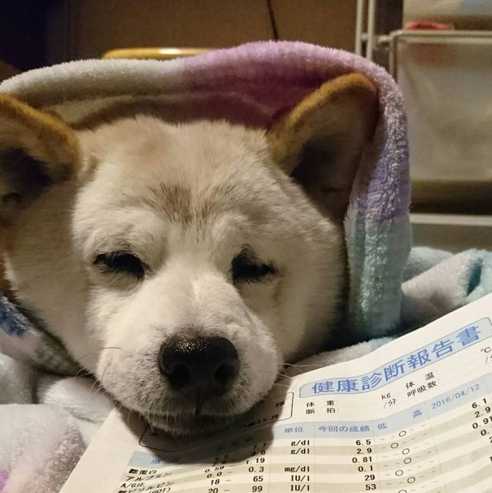 357227b1 ef54 4c51 bcf7 56bc0efebc68