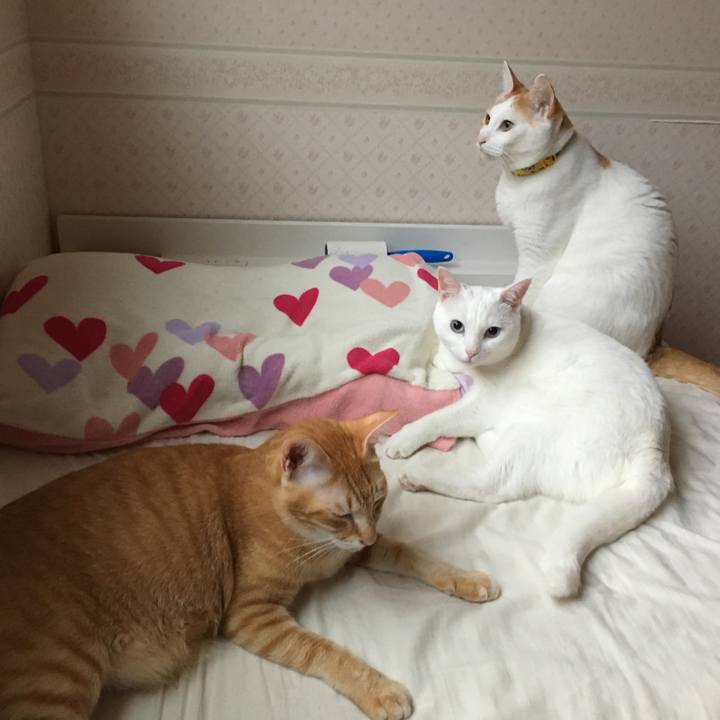 35728020 5012 4f13 8204 109155a11904