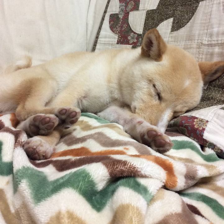 3572b15e cb3a 42f4 8b8f eff41f9cd741