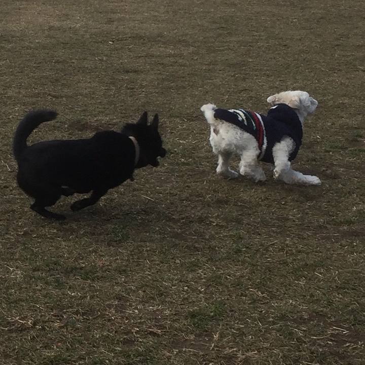 3572bdad aa50 4c36 ad7c 2c8f86fe66fb