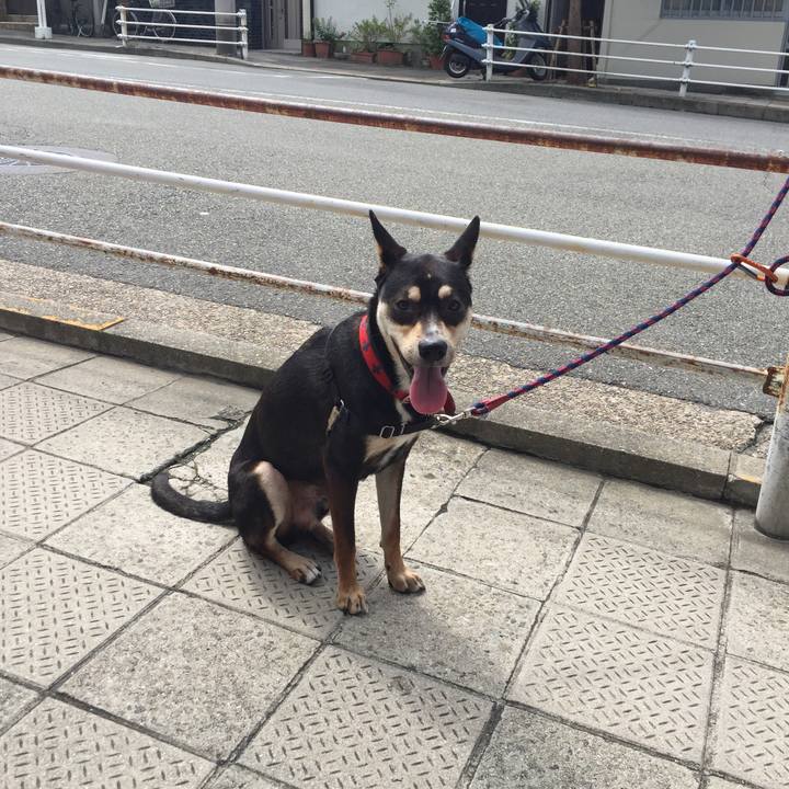 3572bfcf 8f3f 484e a64d cf747871e446