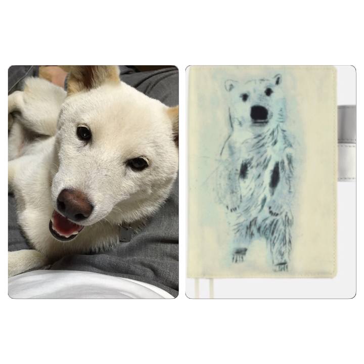 3572e69b 9963 495a a517 0f336a1e2072