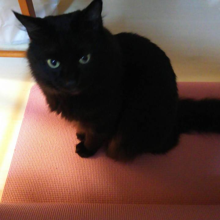 35734f85 cca3 4f4c 9ded e81b08289a1d