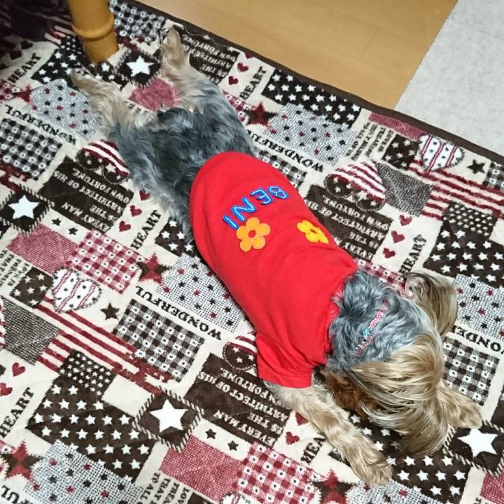 35738fde 1bb7 431c aff6 cf946c557310