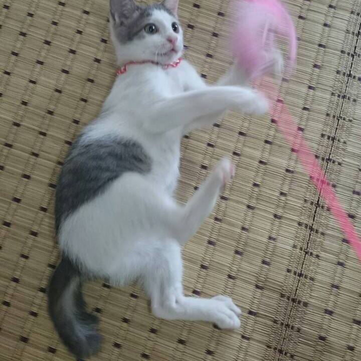 3573b7b1 fb31 4e86 8702 95660dcdcd3b