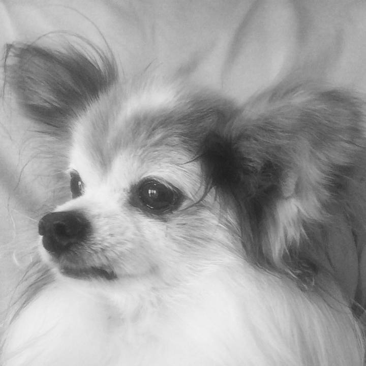 3573bca0 1cd9 4810 96ca bf77c0801af0