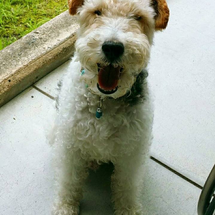 35746580 360f 4670 bcb2 78c2a40f30ff