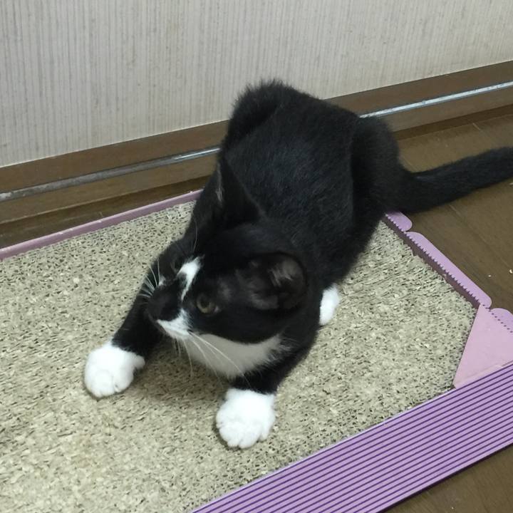 35746d0c 1daf 49ff 91f0 16c6d73dcbc8